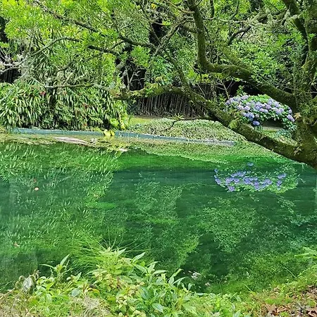 아파트 Canto's Garden, Turisticos & Spa, 4 Estrelas