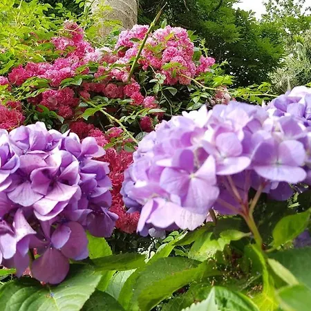 Canto's Garden, Turisticos & Spa, 4 Estrelas 아파트 *