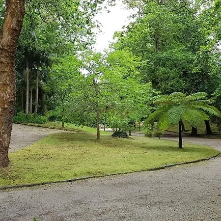 아파트 Canto's Garden, Turisticos & Spa, 4 Estrelas 푸나스