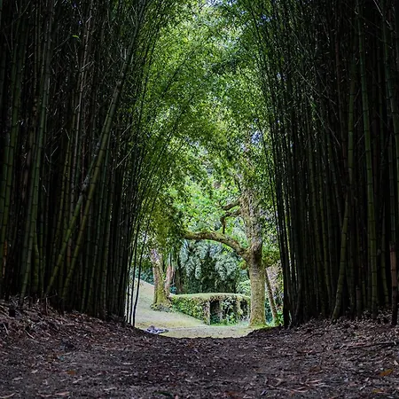 Canto's Garden, Turisticos & Spa, 4 Estrelas 아파트 *