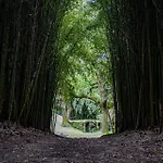 Canto's Garden, Turisticos & Spa, 4 Estrelas Apartmán *