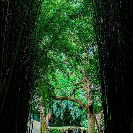 Canto`s Garden, Turísticos&spa, 4 Estrelas Apartamento