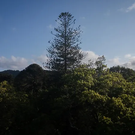 Canto`s Garden, Turísticos&spa, 4 Estrelas